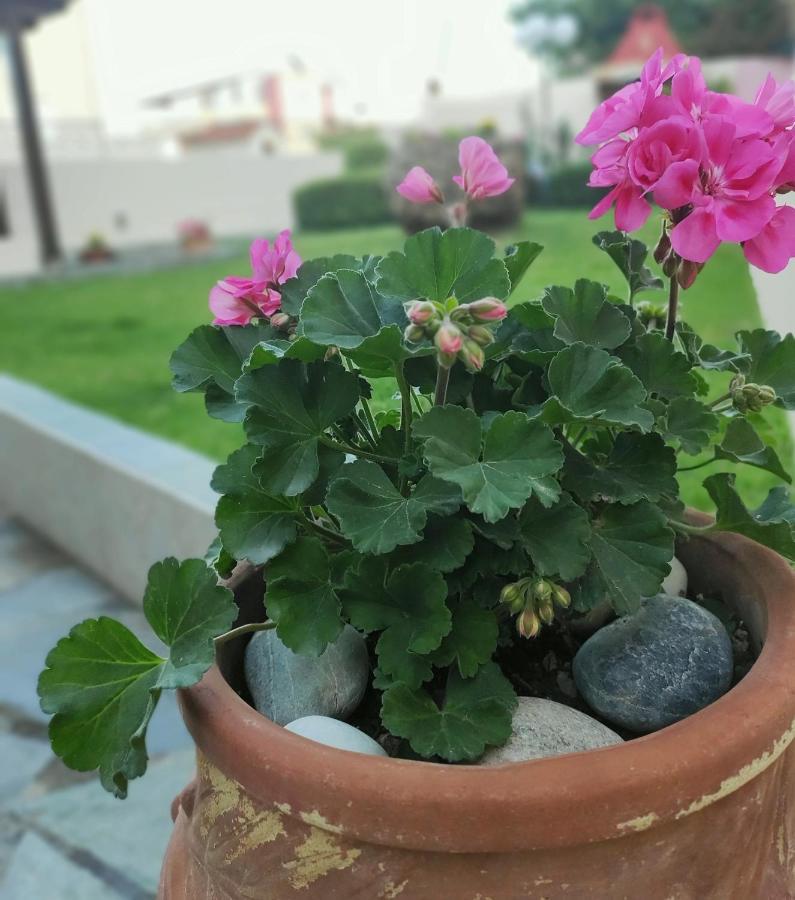 Villa Aphrodite كوليمفاري المظهر الخارجي الصورة